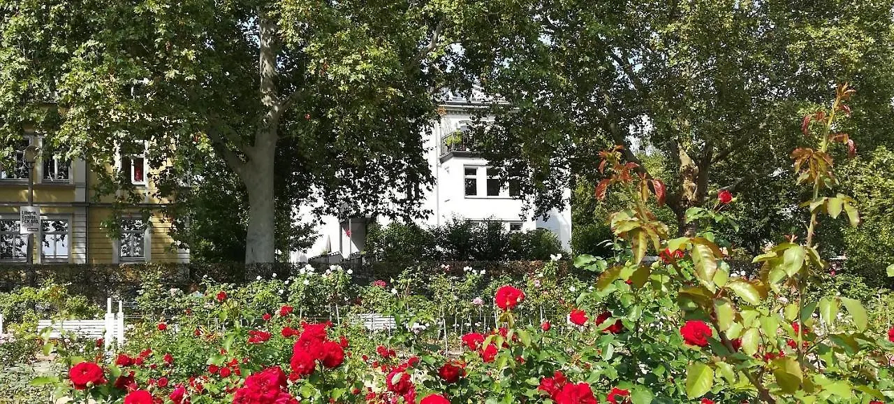 Apartment Am Rosengarten Dresden